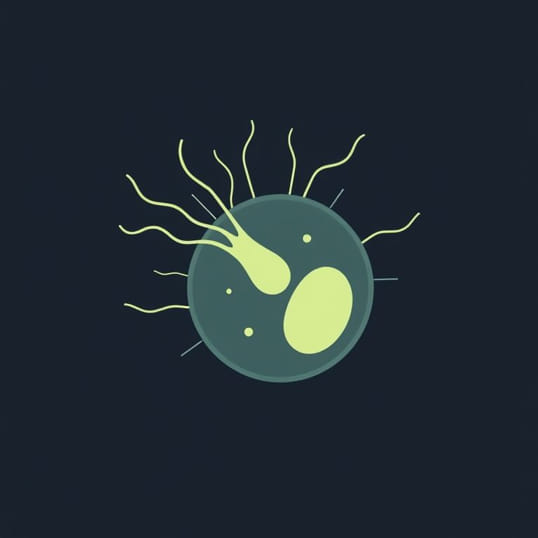 Function Of Flagella In Prokaryotic Cell