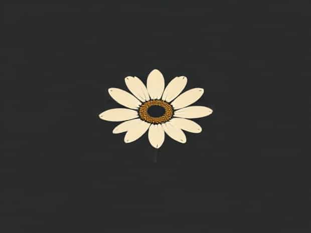 Gerbera Transvaal Daisy Botanical Name