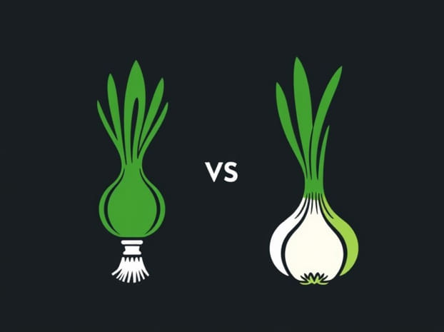 Green Onion Vs Shallot