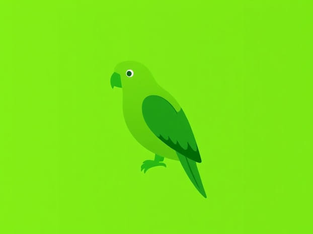 Green Parrot Price In Pakistan