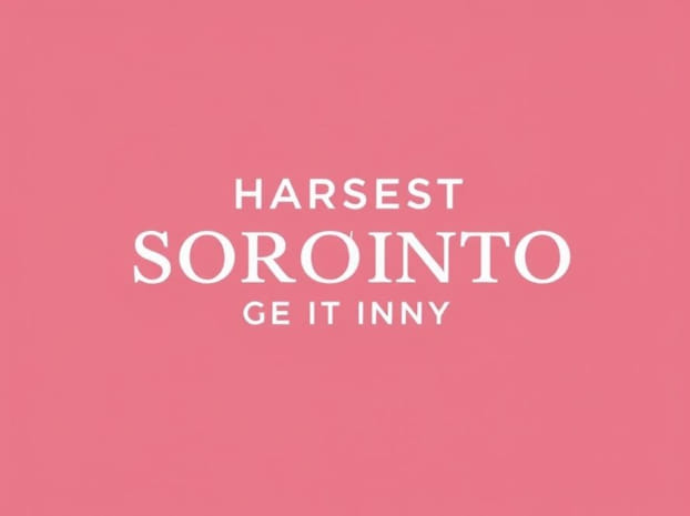 Hardest Sorority To Get Into At Alabama