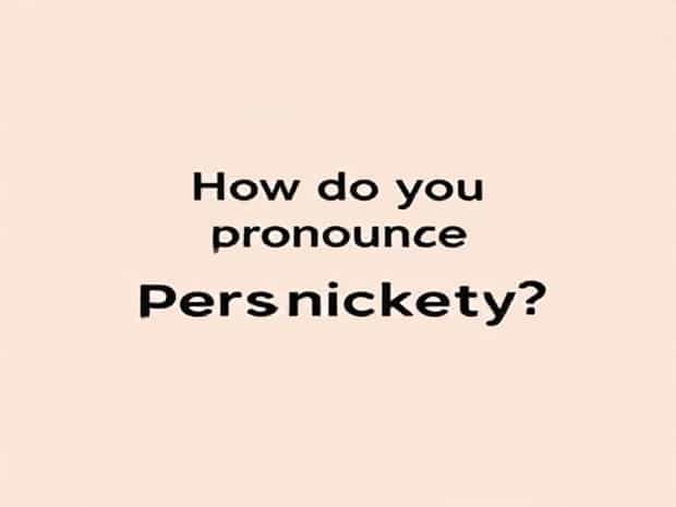 How Do You Pronounce Persnickety