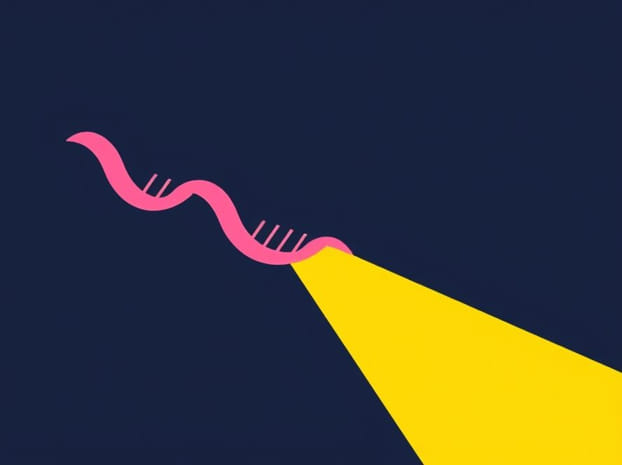 How Is Allosteric Regulation Like Noncompetitive Inhibition