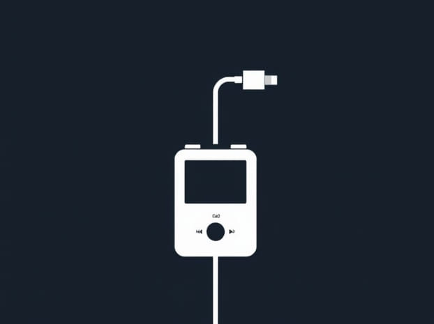 How Much Is An Ipod Charger