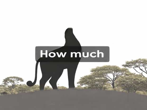 How Much Is Longleat Safari Park
