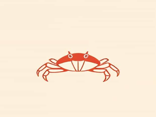 How To Care For A Hermit Crab