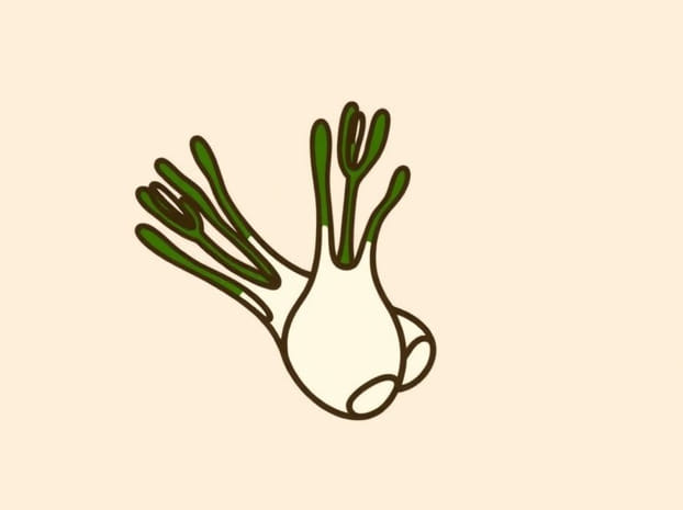 How To Cook Fennel