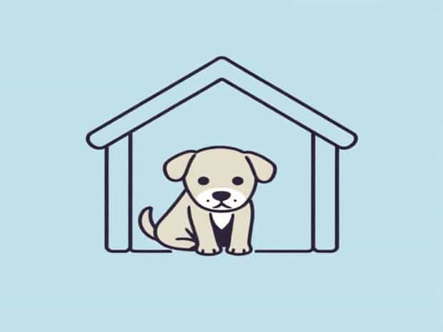 How To Housebreak A Puppy