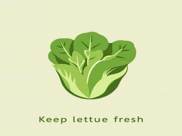 How To Keep Lettuce Fresh