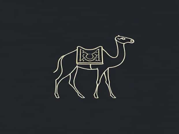 Interesting Facts About Camelopardalis