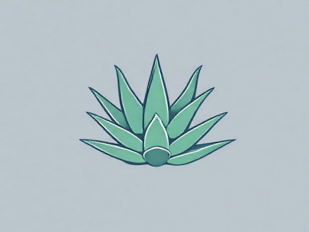 Is Aloe A Succulent
