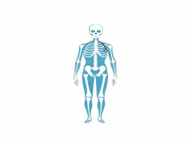 Is An Anatomist A Doctor