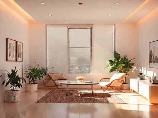 Is Bright And Roomy Legit Reddit