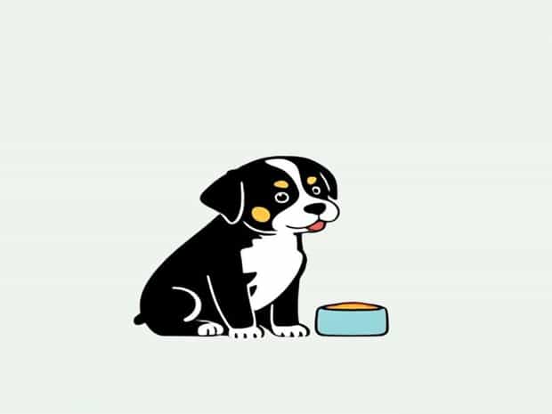 Is Pedigree Puppy Food Good