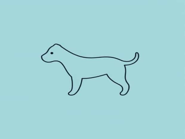 Is Roundworm Contagious In Dogs