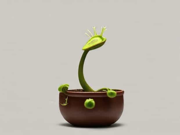 John Lewis Venus Flytrap Toy
