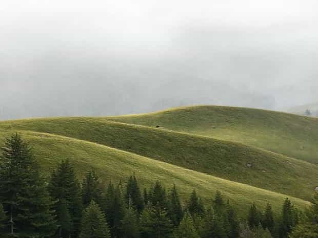 Jpg To Gif Converter