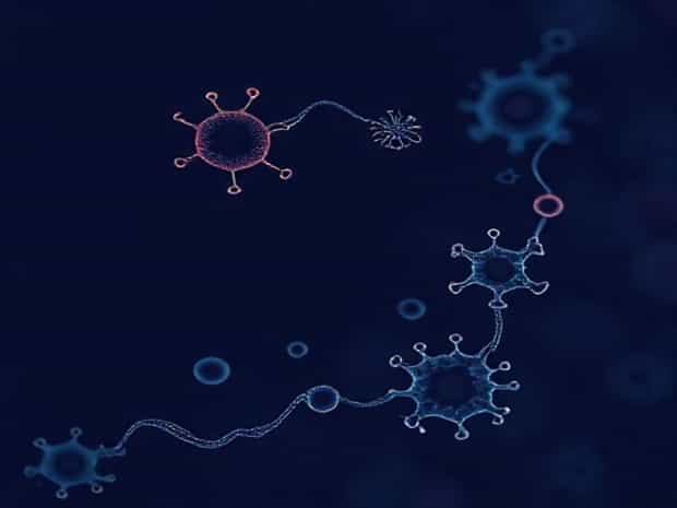 Kabat Sequences Of Proteins Of Immunological Interest