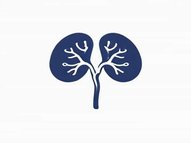 Lymphoid Nodules Consist Of Quizlet