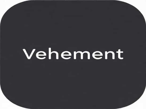Make A Sentence With The Word Vehement