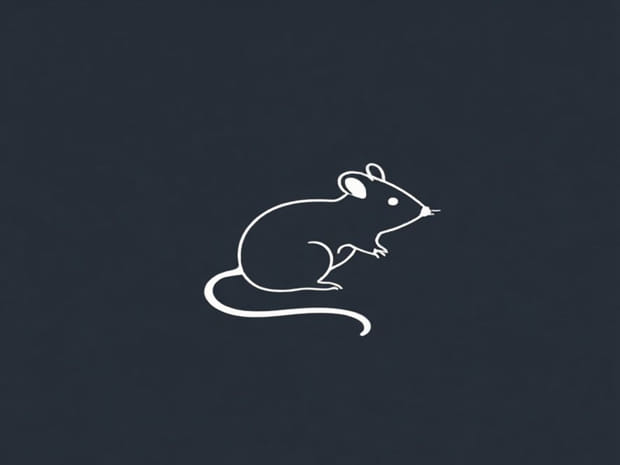 Diy Fumigation For Mice