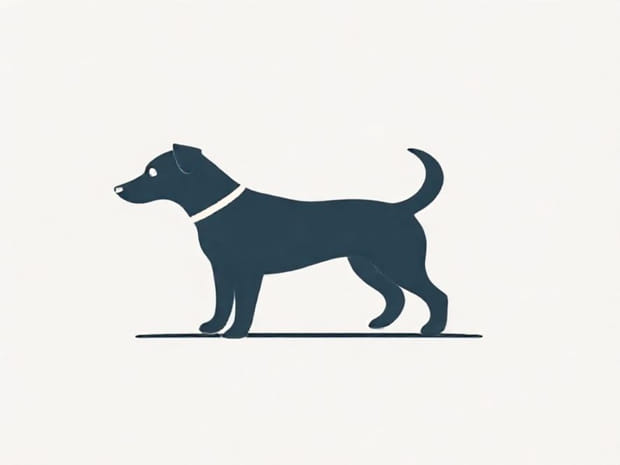 Dog Will Not Housebreak