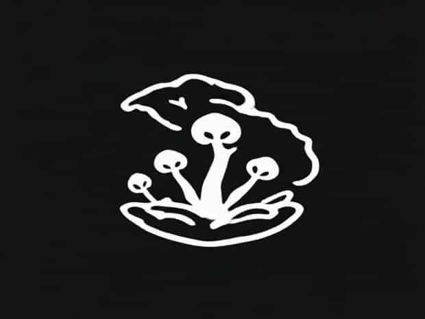 Dominican Republic Speleological Society