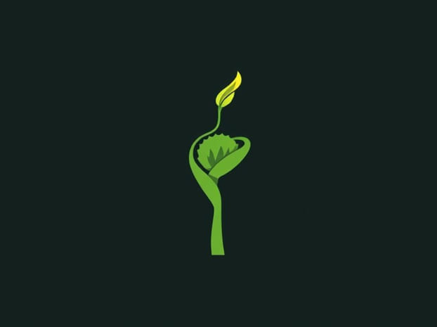Drawing Of Venus Flytrap