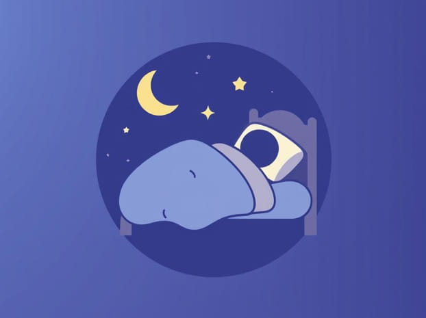 Dreamland Sleep Sack Recall