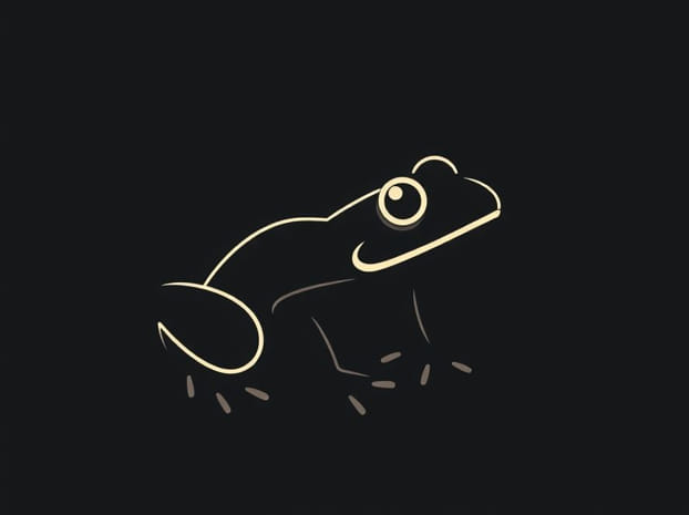 Dwarf African Frog Care