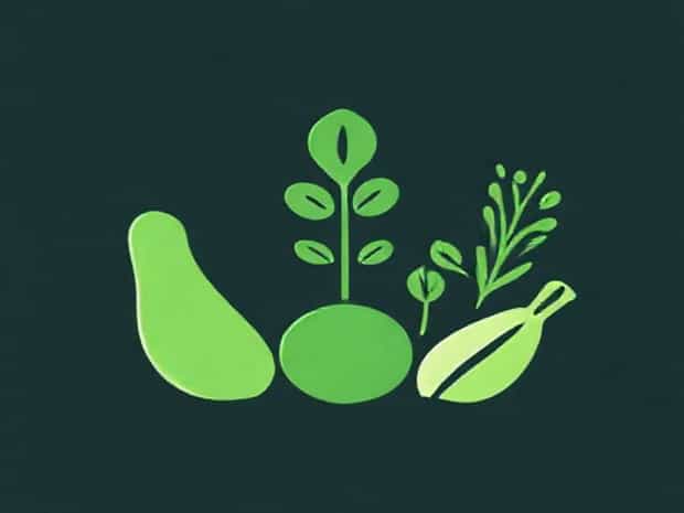 Foods High In Chlorophyll