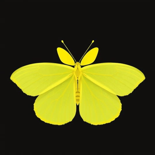 Fun Facts About Cloudless Sulphur Butterfly