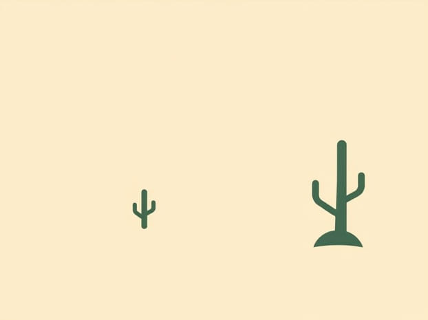 How Does Desertification Affect The Environment?