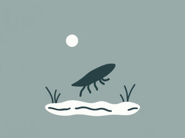 How Is A Species Invasive