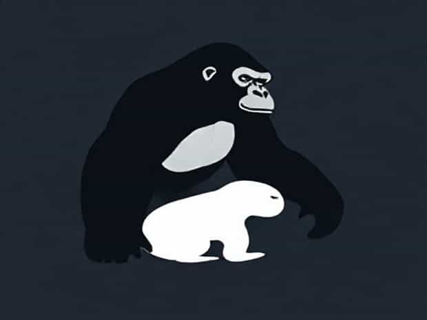 How Long Do Gorillas Gestate
