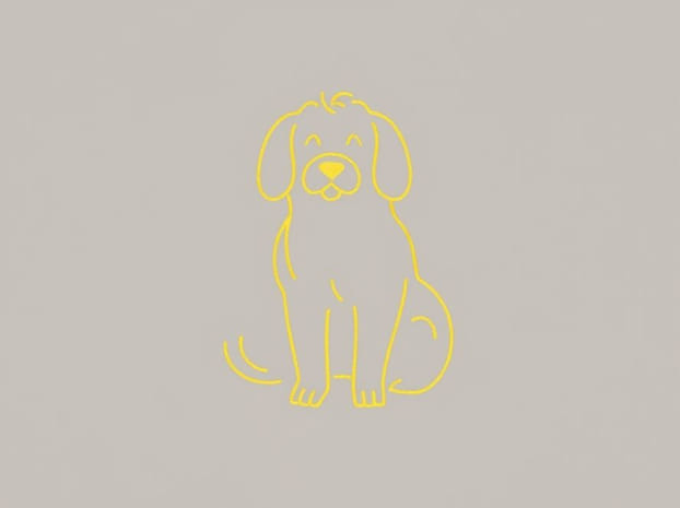 How Much Are Golden Doodle