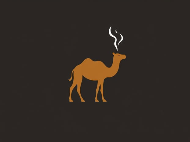 How Much Is Camel Cigarette