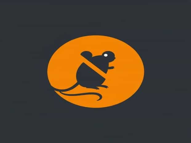 How Much Is Mouse Extermination