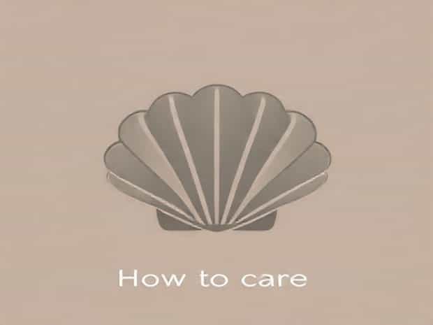 How To Care For Shell Cordovan