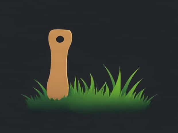 How To Fix Patchy Grass
