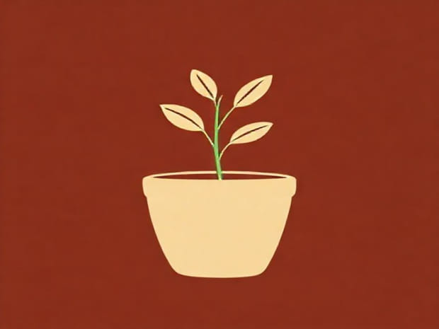 How To Plant Pimento