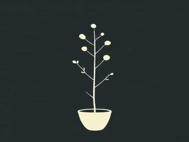 How To Plant Sumac