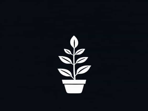 How To Quarantine A Plant