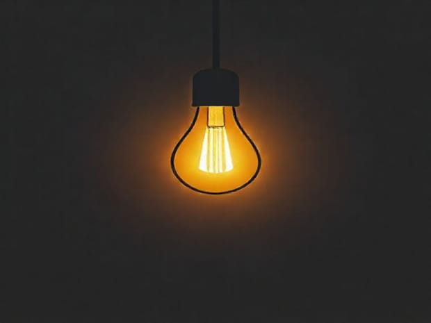 I Sight Bulb Pro