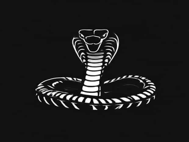 Is Cobra Darkspeed X Forgiving