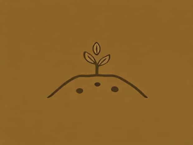 Is Code For Soil Compaction Test
