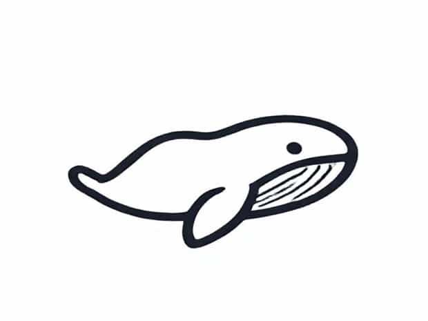 Is Gum Made From Whale Blubber