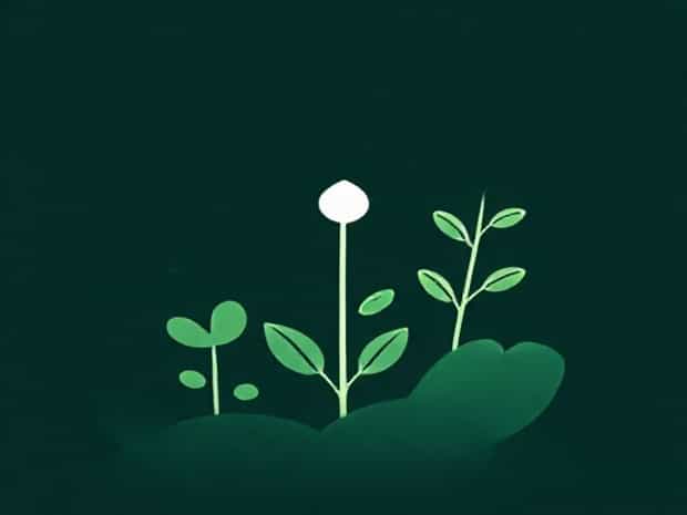 Is Phosphorus In Plants
