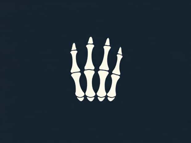Is The Phalanges Axial Or Appendicular?