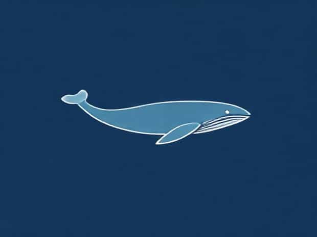 Is Whales A Fish